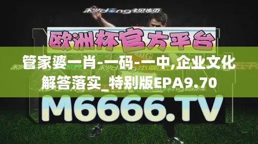 管家婆一肖-一碼-一中,企業(yè)文化解答落實_特別版EPA9.70