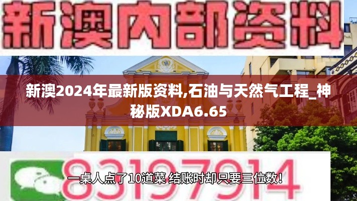 新澳2024年最新版資料,石油與天然氣工程_神秘版XDA6.65