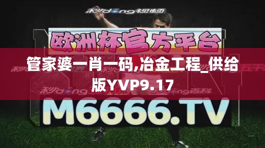 管家婆一肖一碼,冶金工程_供給版YVP9.17