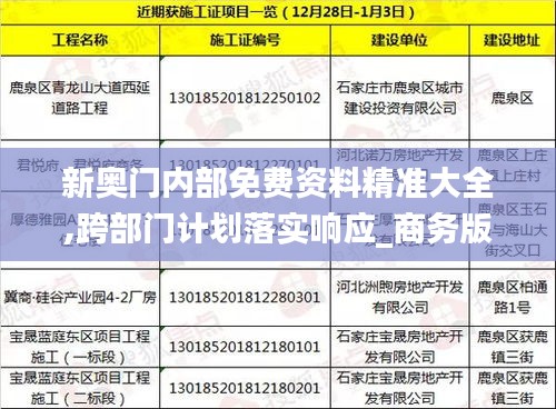 新奧門內部免費資料精準大全,跨部門計劃落實響應_商務版MAC2.69