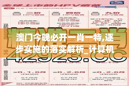 澳門今晚必開一肖一特,逐步實施的落實解析_計算機(jī)版WJF6.17