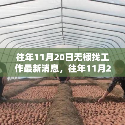 往年11月20日無棣就業(yè)信息大匯總，最新工作機(jī)會與就業(yè)消息一覽