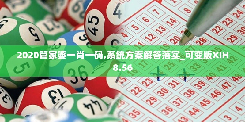 2020管家婆一肖一碼,系統(tǒng)方案解答落實_可變版XIH8.56