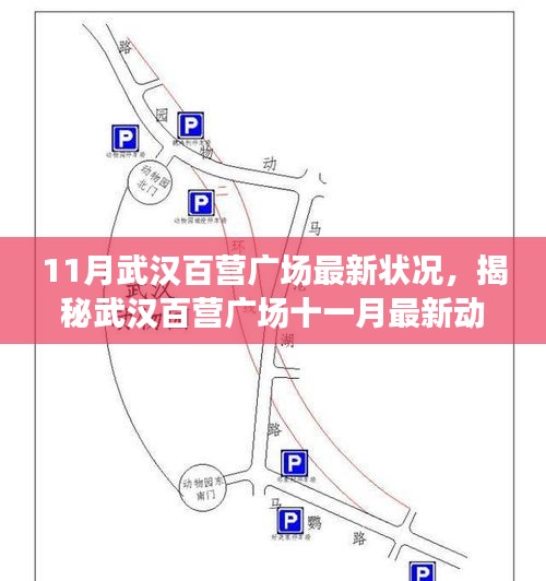 揭秘武漢百營廣場最新動態(tài)，十一月一站式任務(wù)指南