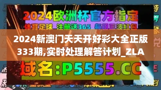 2024新澳門天天開好彩大全正版333期,實時處理解答計劃_ZLA6.39