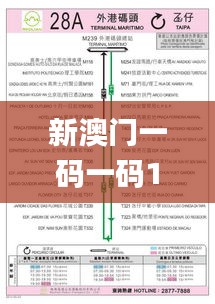 新澳門一碼一碼100準確335期,深入研究解答解釋路徑_KEM7.23