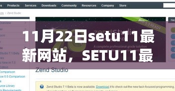 11月22日setu11最新網站，SETU11最新網站，回望其誕生、發(fā)展與時代影響力
