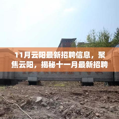 11月云陽(yáng)最新招聘信息，聚焦云陽(yáng)，揭秘十一月最新招聘信息熱點(diǎn)