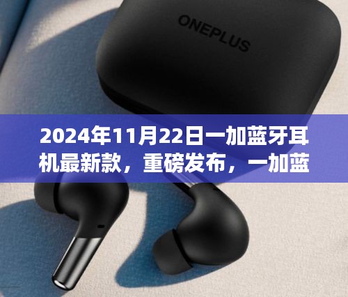 2024年11月22日一加藍牙耳機最新款，重磅發(fā)布，一加藍牙耳機最新款——深度體驗與解析