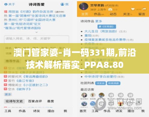 澳門管家婆-肖一碼331期,前沿技術(shù)解析落實(shí)_PPA8.80
