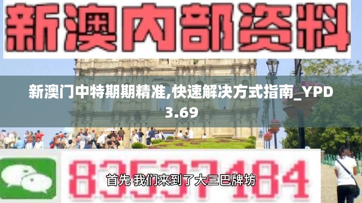 新澳門中特期期精準(zhǔn),快速解決方式指南_YPD3.69