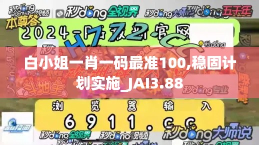 白小姐一肖一碼最準(zhǔn)100,穩(wěn)固計劃實施_JAI3.88