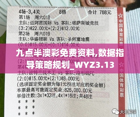 九點半澳彩免費資料,數(shù)據(jù)指導(dǎo)策略規(guī)劃_WYZ3.13