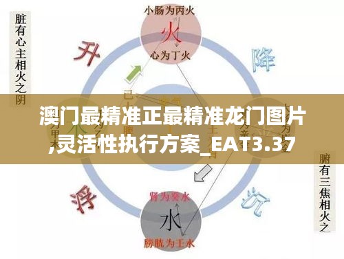 澳門最精準正最精準龍門圖片,靈活性執(zhí)行方案_EAT3.37
