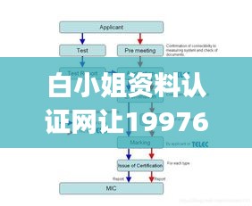白小姐資料認(rèn)證網(wǎng)讓199768com,數(shù)據(jù)解析引導(dǎo)_SHE3.45