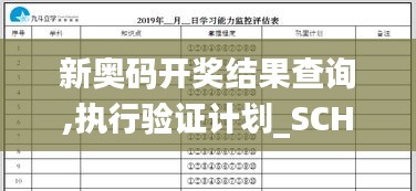 新奧碼開獎(jiǎng)結(jié)果查詢,執(zhí)行驗(yàn)證計(jì)劃_SCH3.13