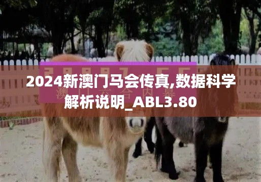 2024新澳門馬會傳真,數(shù)據(jù)科學(xué)解析說明_ABL3.80