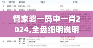 管家婆一碼中一肖2024,全盤細明說明_TUP3.85
