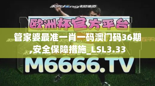 管家婆最準一肖一碼澳門碼36期,安全保障措施_LSL3.33