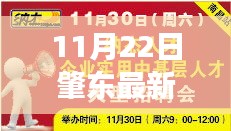 肇東最新招聘信息網(wǎng)，招聘奇遇與友情重逢的溫暖篇章（11月22日）