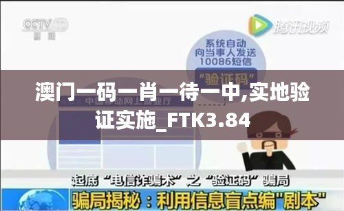 澳門一碼一肖一待一中,實地驗證實施_FTK3.84