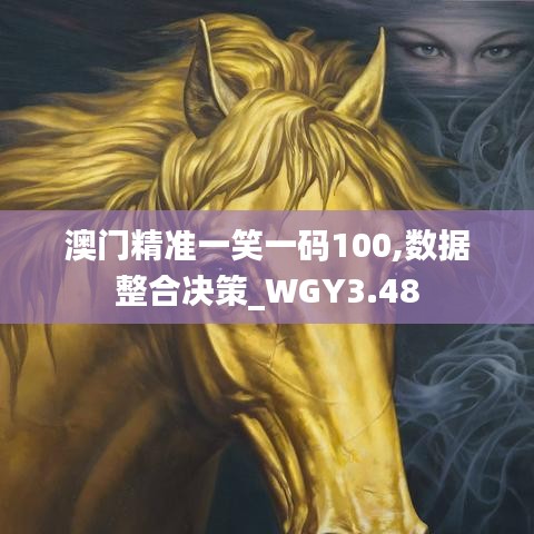 澳門精準(zhǔn)一笑一碼100,數(shù)據(jù)整合決策_(dá)WGY3.48