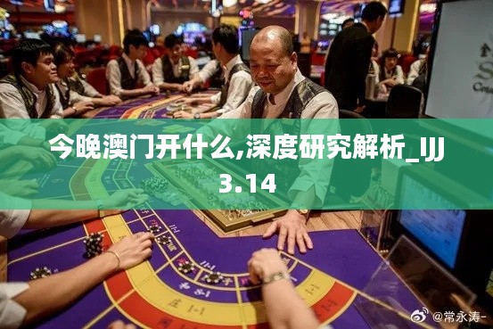 今晚澳門開什么,深度研究解析_IJJ3.14