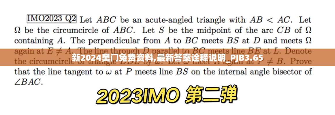 新2024奧門兔費資料,最新答案詮釋說明_PJB3.65