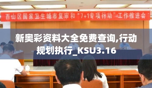 新奧彩資料大全免費(fèi)查詢,行動規(guī)劃執(zhí)行_KSU3.16