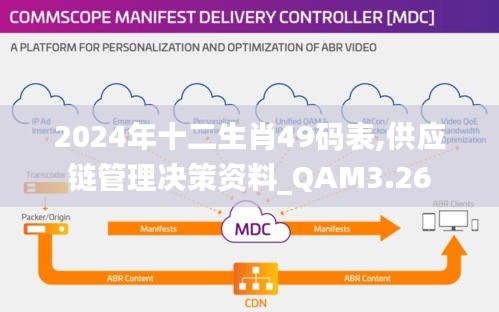2024年十二生肖49碼表,供應(yīng)鏈管理決策資料_QAM3.26