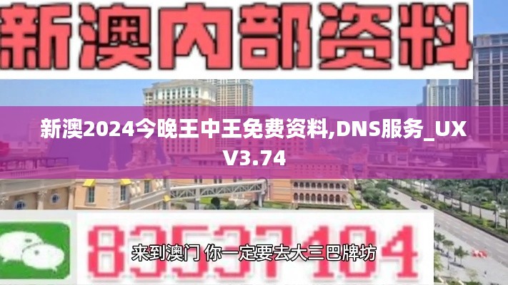 新澳2024今晚王中王免費資料,DNS服務(wù)_UXV3.74