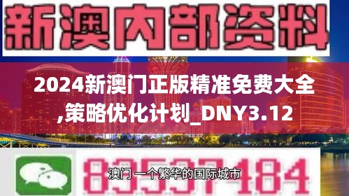 2024新澳門正版精準免費大全,策略優(yōu)化計劃_DNY3.12