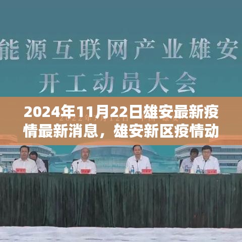 2024年11月22日雄安最新疫情最新消息，雄安新區(qū)疫情動(dòng)態(tài)更新，聚焦2024年11月22日最新消息