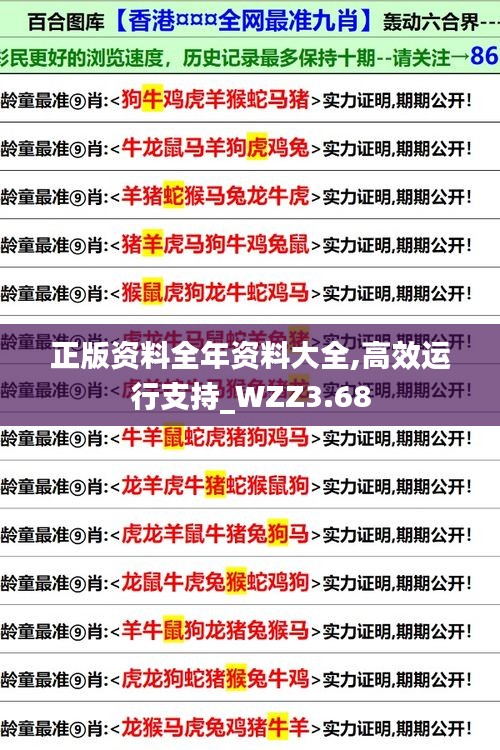 正版資料全年資料大全,高效運行支持_WZZ3.68