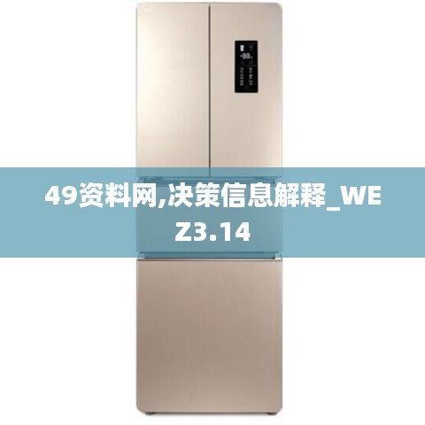 49資料網(wǎng),決策信息解釋_WEZ3.14