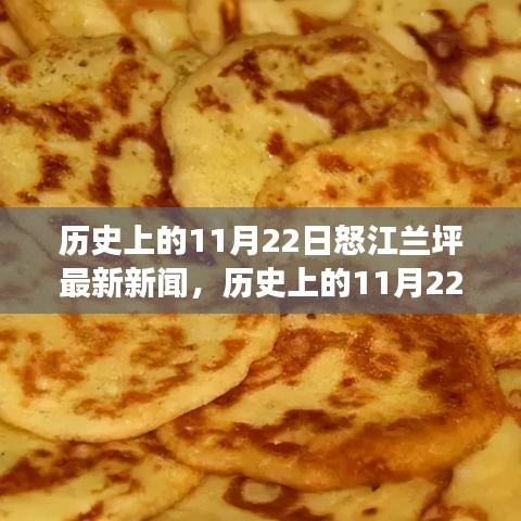歷史上的11月22日怒江蘭坪新聞事件深度解析與最新動態(tài)探討