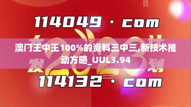 澳門(mén)王中王100%的資料三中三,新技術(shù)推動(dòng)方略_UUL3.94