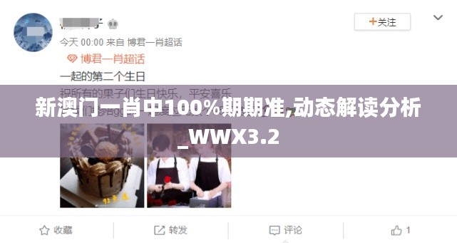 新澳門一肖中100%期期準(zhǔn),動(dòng)態(tài)解讀分析_WWX3.2