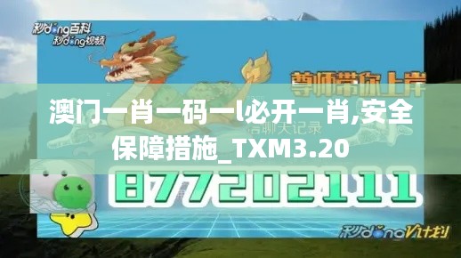 澳門一肖一碼一l必開一肖,安全保障措施_TXM3.20