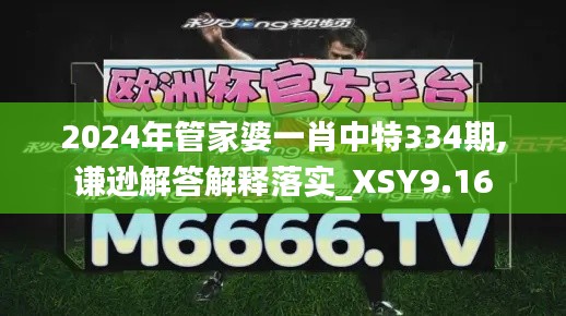 2024年管家婆一肖中特334期,謙遜解答解釋落實(shí)_XSY9.16