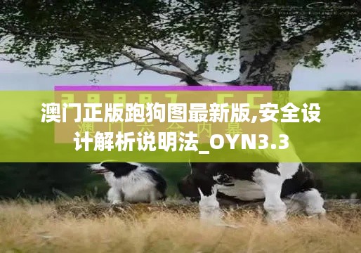 澳門正版跑狗圖最新版,安全設(shè)計解析說明法_OYN3.3