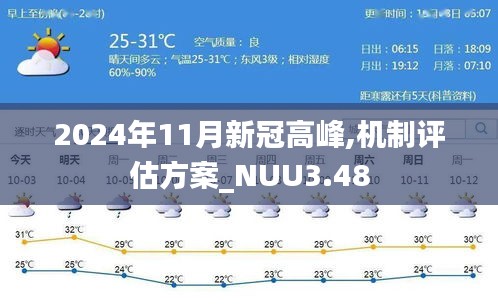 2024年11月新冠高峰,機(jī)制評(píng)估方案_NUU3.48