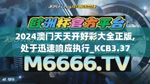 2024澳門天天開好彩大全正版,處于迅速響應(yīng)執(zhí)行_KCB3.37