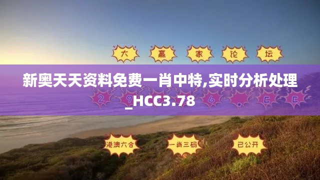 新奧天天資料免費(fèi)一肖中特,實(shí)時(shí)分析處理_HCC3.78
