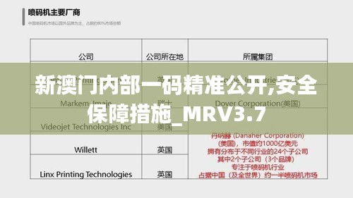 新澳門內(nèi)部一碼精準(zhǔn)公開,安全保障措施_MRV3.7