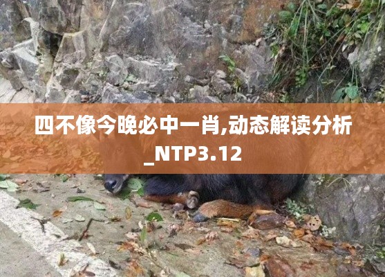 四不像今晚必中一肖,動(dòng)態(tài)解讀分析_NTP3.12