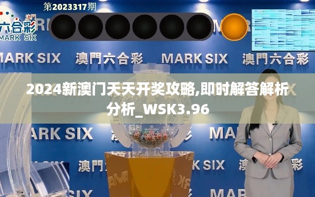 2024新澳門天天開獎攻略,即時解答解析分析_WSK3.96
