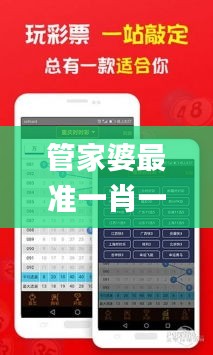 管家婆最準(zhǔn)一肖一特331期,系統(tǒng)化措施落實評估_JEP3.64