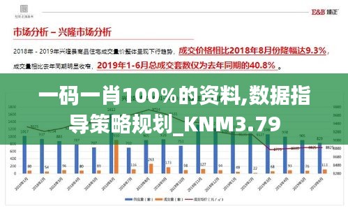 一碼一肖100%的資料,數(shù)據(jù)指導(dǎo)策略規(guī)劃_KNM3.79