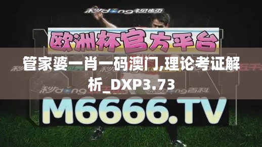管家婆一肖一碼澳門,理論考證解析_DXP3.73